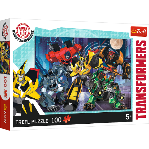 Puzzle Transformers